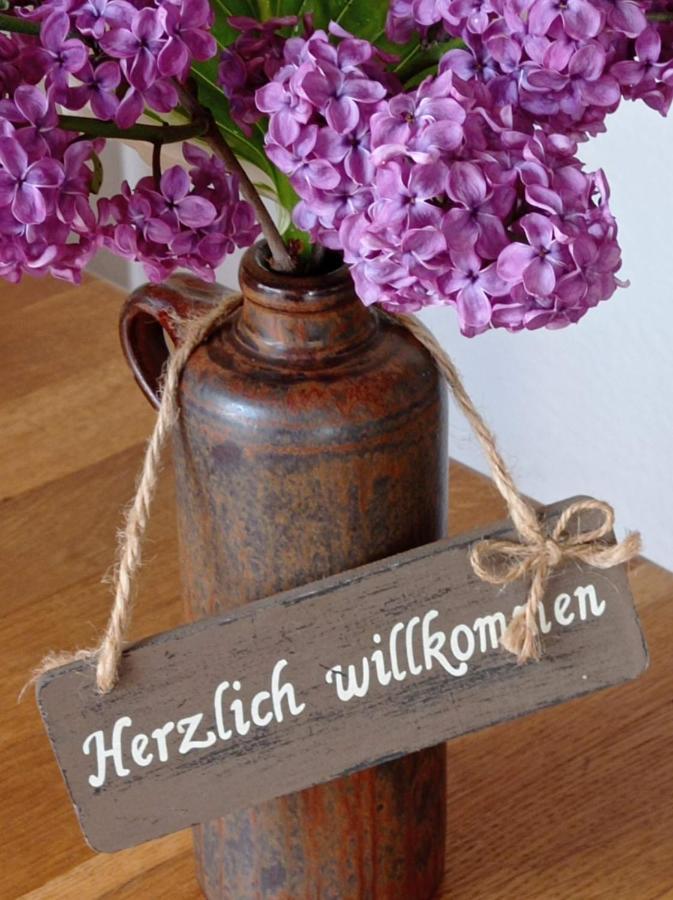 Ferienwohnung Sauerland Burgfenster Леннештадт Экстерьер фото