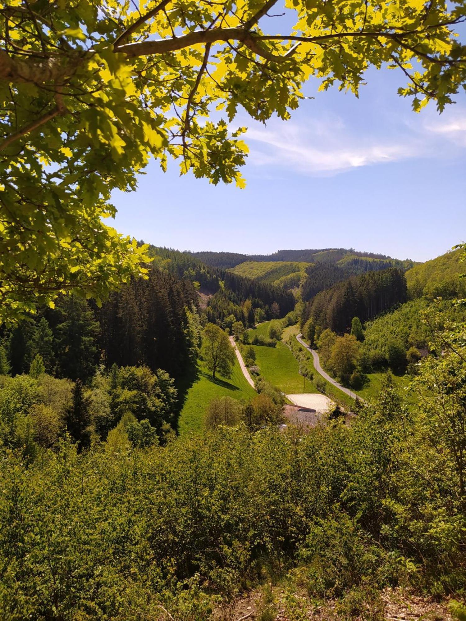 Ferienwohnung Sauerland Burgfenster Леннештадт Экстерьер фото